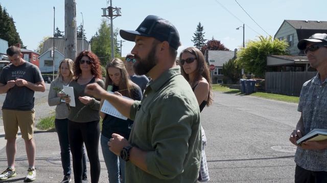 Wild Edibles with Sergei Boutenko: Pineapple Weed–Matricaria Matricarioides + Simple Foraging Rules смотреть онлайн