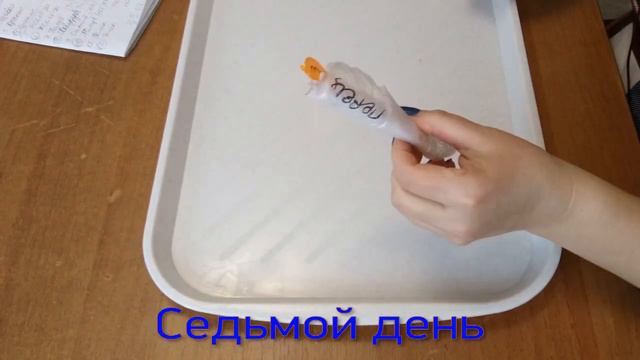 #СУПЕР-СПОСОБ, КОТОРЫЕ НЕ РАБОТАЕТ! #РАЗВОД смотреть онлайн