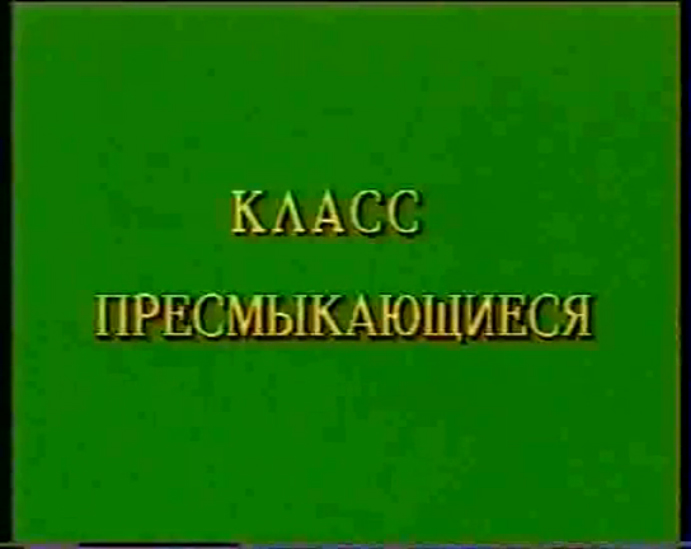 Класс Пресмыкающиеся (Рептилии)