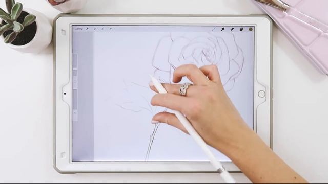 How to draw a Rose step by step in Procreate Tutorial смотреть онлайн