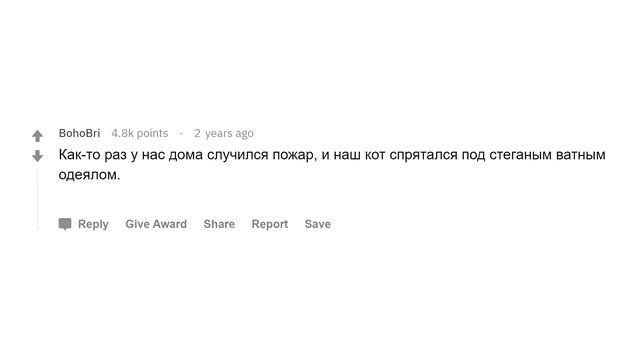 Когда животное умнее человека смотреть онлайн