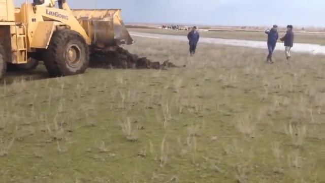 Актюбинская область противопаводковые смотреть онлайн
