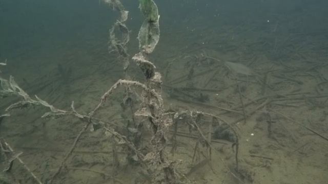 У причала. Самарская область, село Екатериновка. смотреть онлайн