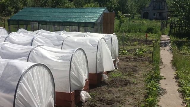 Летние деньки.Кайф на даче... с семьей смотреть онлайн