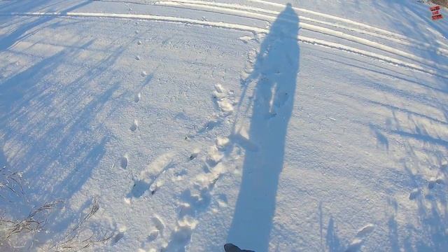 "Зайчатники" Два зайца за 10 минут! Такое у нас первый раз. смотреть онлайн