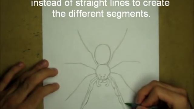 How to Draw a Spider смотреть онлайн