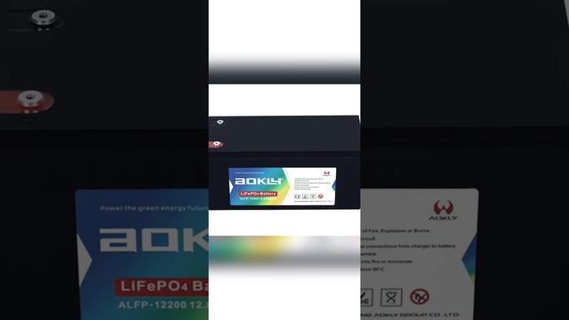 ALFP-12200 LiFePo4  Battery.