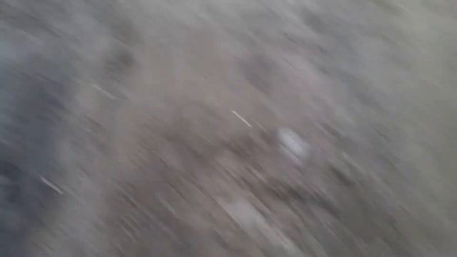 Фазан бежит по гаражам смотреть онлайн