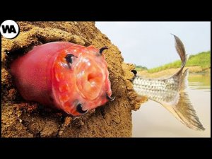 ▶️ Это необычный Червь который умеет нападать