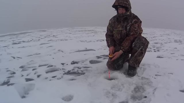 Окунь на балансир Lucky John Baltic 4 смотреть онлайн