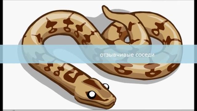 Анимация Удава В Запорожье смотреть онлайн