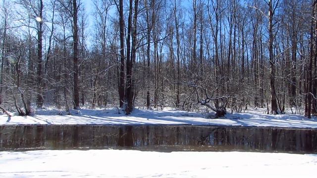 Юнтоловский лесопарк. 27.03.2019 смотреть онлайн