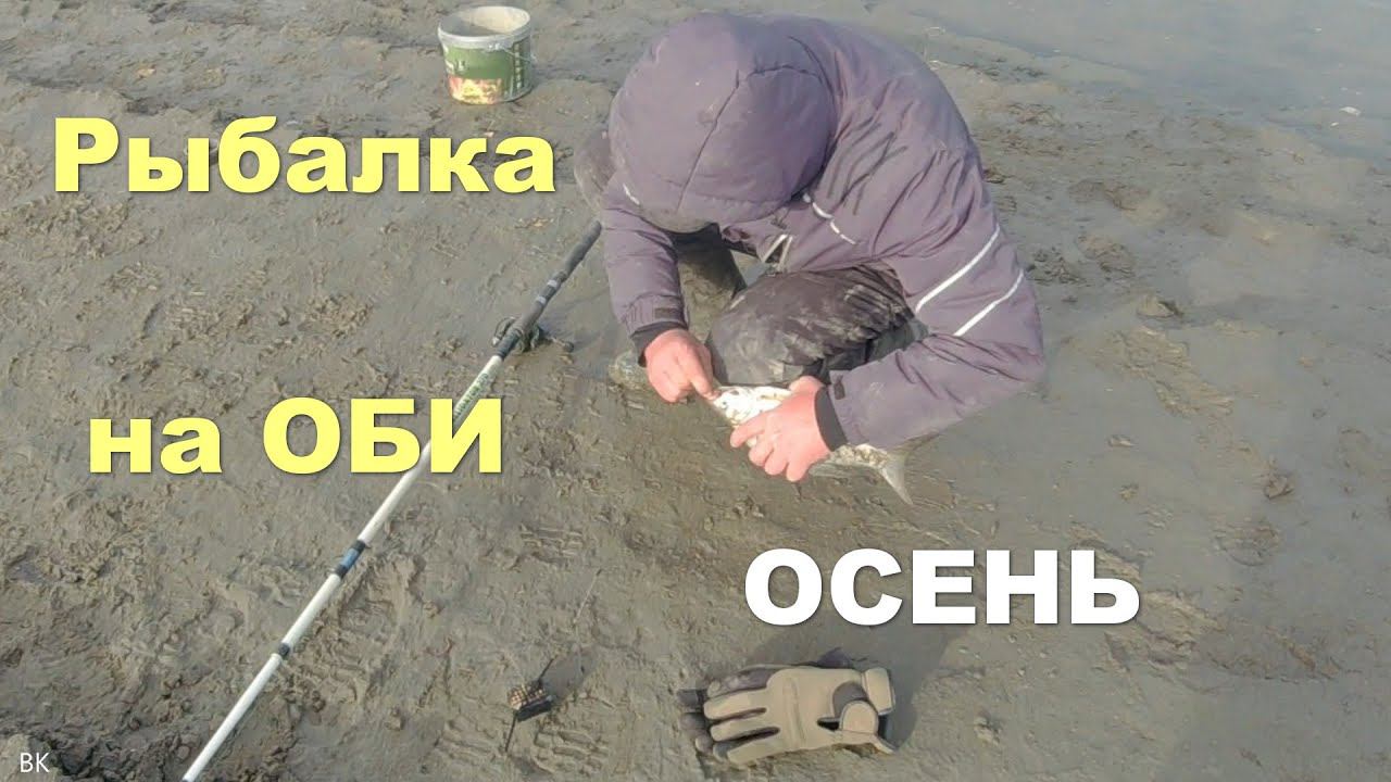 Рыбалка на Оби сентябрь 2022 смотреть онлайн