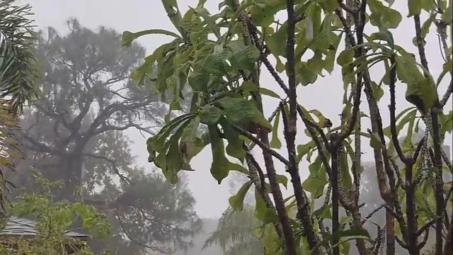 Sonido De Lluvia Y Truenos HD - 1 Hs De Relax Y Meditación