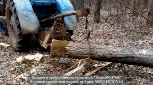 Вывоз леса хлыстами и погрузка на т-40.  Часть 1