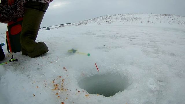 ПОКЛЕВКИ КАРАСЯ ЗИМОЙ КРУПНЫМ ПЛАНОМ. Просто кайфовый видос ) смотреть онлайн