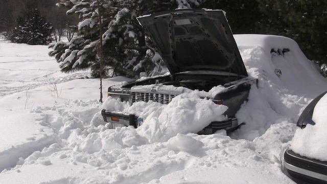 1982 Ford Granada coldstart 2013 смотреть онлайн