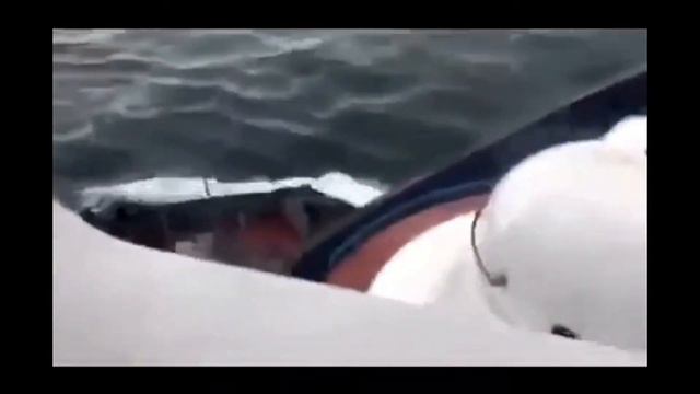 Пираты черного моря смотреть онлайн