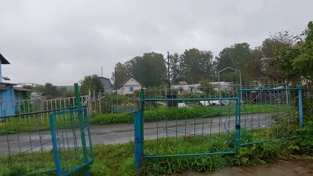 Урожай тыквы в Сибири. Немного о городке. смотреть онлайн