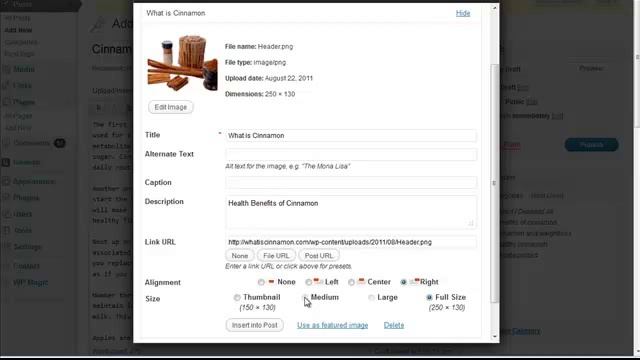 Wordpress - Insert Post смотреть онлайн