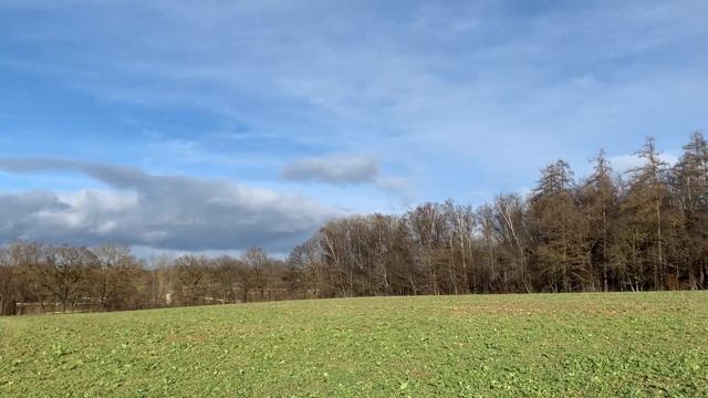 Прогулка в выходные-Переезд в Германию-жизнь в Германии- поздние переселенцы смотреть онлайн