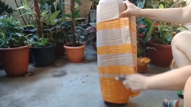 Unboxing ng Variegated Anthurium Foliage!!! смотреть онлайн