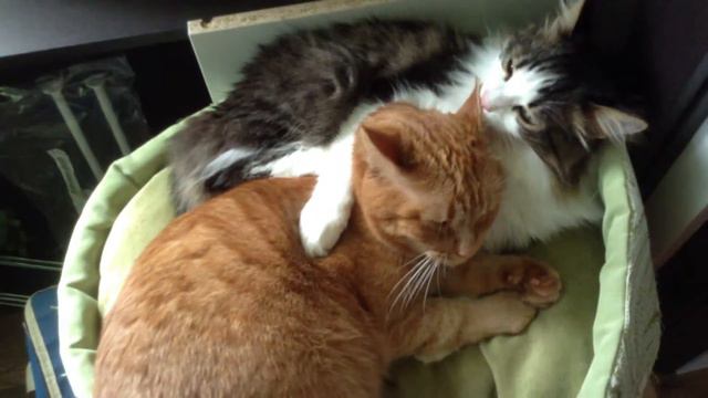 14 июля 2014 г.