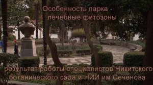 Санаторий Кирова Ялта. Жилищный комплекс: номера, территория