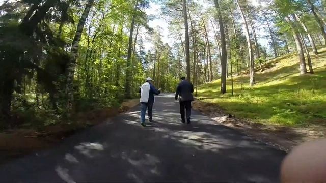 Лыже-роллерная трасса в Сосновом Бору, Лен. обл. смотреть онлайн
