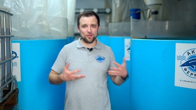Что НЕОБХОДИМО для поддержания ТЕМПЕРАТУРЫ ВОДЫ в УЗВ? | Какой ТЕПЛООБМЕННИК лучше ИСПОЛЬЗОВАТЬ? смотреть онлайн