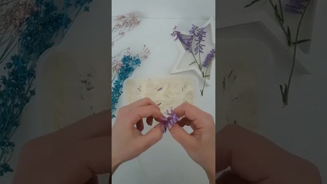 #цветы #аромасаше #творчество 3 СПОСОБА СУШКИ цветов для творчества смотреть онлайн