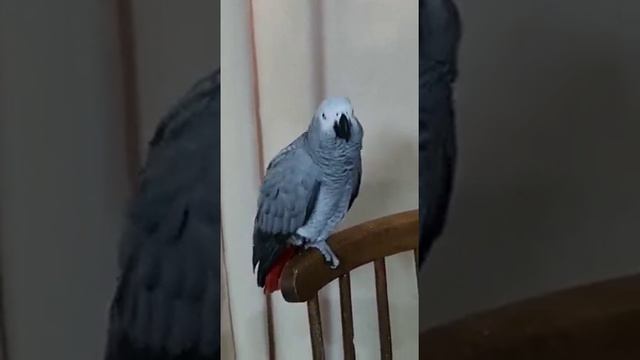 да что такое то?! упала!.. смотреть онлайн