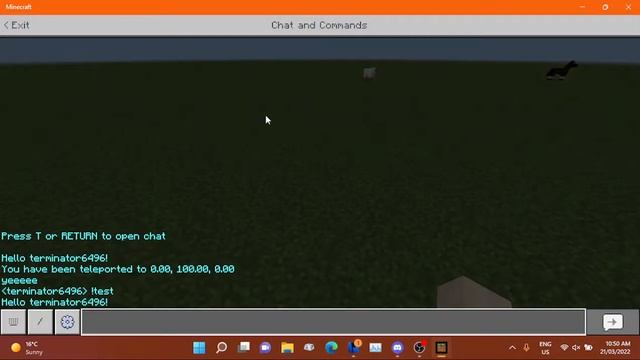 Sneak Peek: #1 Custom Commands смотреть онлайн