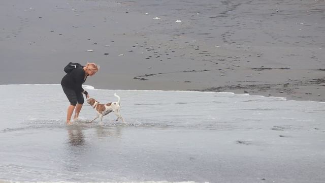 Brown Velvet - Keramas, 30 January 2021 смотреть онлайн