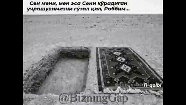 Java "Dunyo seni tog'angmas / Дунё сени тоганмас" parodiya смотреть онлайн