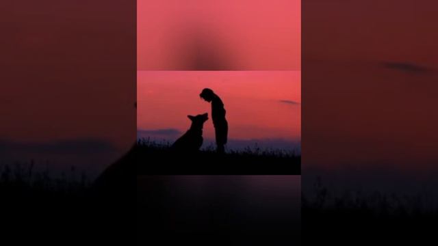 В память о Стинге смотреть онлайн