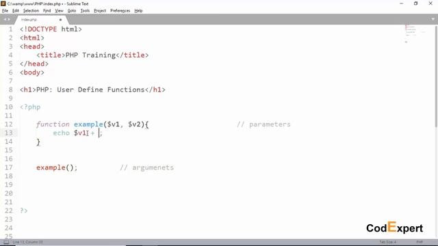 22 Functions Passing Parameters and Arguments in PHP in Urdu/Hindi смотреть онлайн