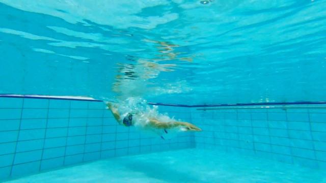 EUL 77 v2 rus «Прыжки дельфина», «Группировка-бомбочка», «Падение с колен», «Прыжок с колен» смотреть онлайн