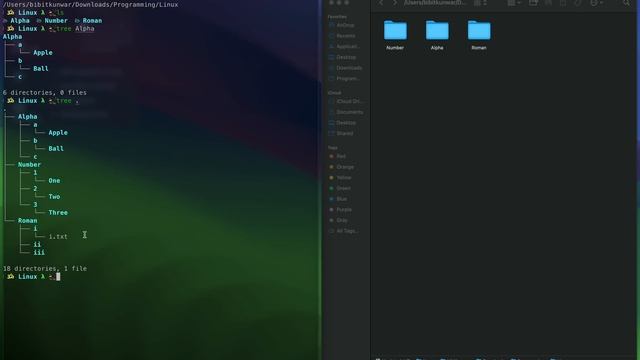 tree Command | Getting Started With CLI | Terminal Commands | In Nepali смотреть онлайн