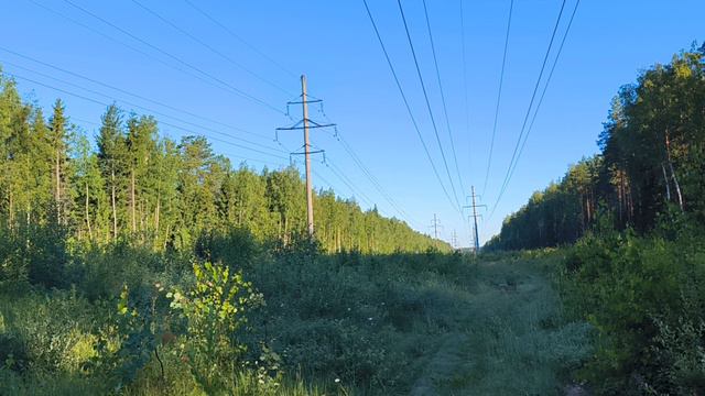 ЛЭП. ч.3. Июнь 2024 смотреть онлайн
