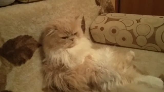 А ЧТО ТУТ У НАС????? смотреть онлайн