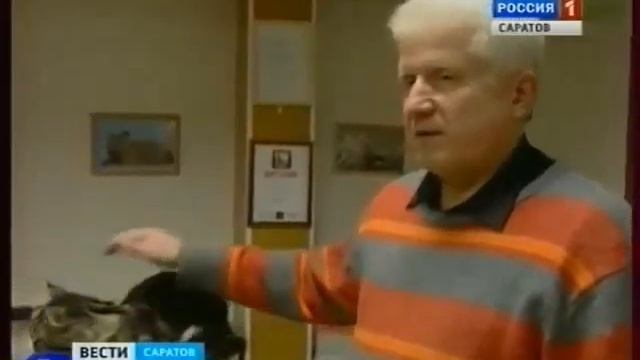 Экзотические кошки живут в Саратове смотреть онлайн