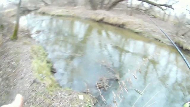 ПЕРВАЯ пойманная щука на камеру. Рыбалка на Сходне. смотреть онлайн