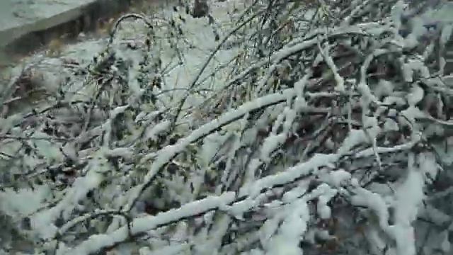 Про Бобров смотреть онлайн