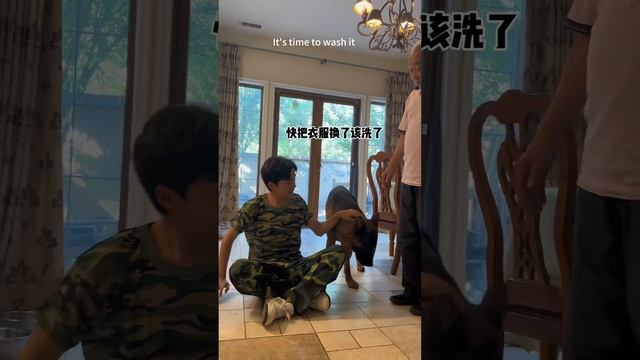 八卦的金子，原本躺著要睡覺，一聽吵架聲激動地往外跑【憨憨金和帥帥銀】 смотреть онлайн