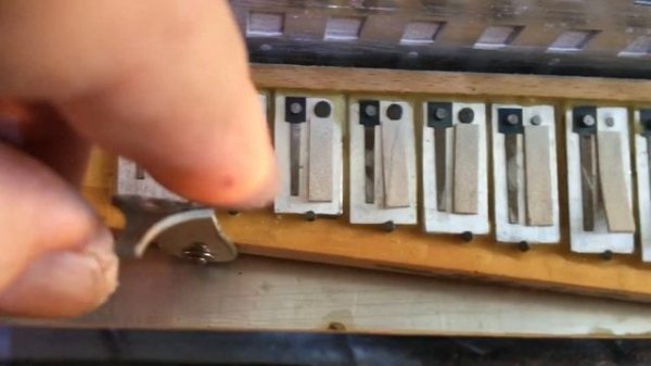 Баян и аккордеон: что такое "ломаная дека" или Cassotto . Отвечает дипломировный специалист Германи