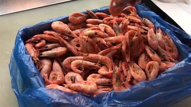 Магаданская северная креветка смотреть онлайн