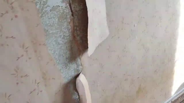 новый объект. Сталинка. быстрый эконом ремонт. смотреть онлайн