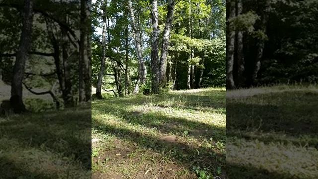 Стихотворение Константина Бальмонта. смотреть онлайн