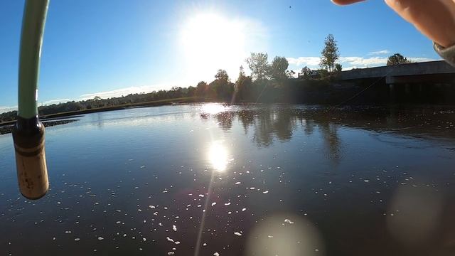 INSANE Day Fishing Backwater Creeks For Redfish And Trout
